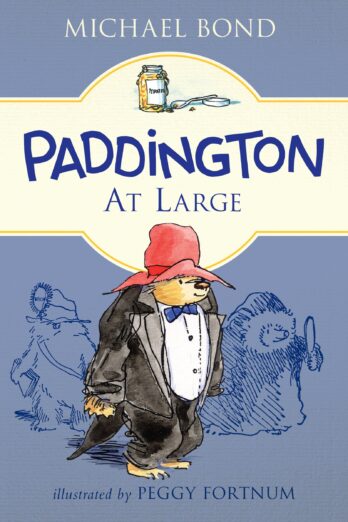 Paddington at Large