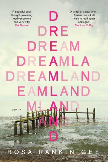 Dreamland: The summer's most 'dazzling and shattering' new novel Cover Image