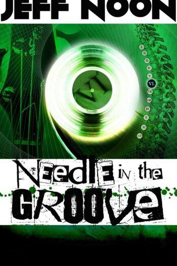 Needle In The Groove