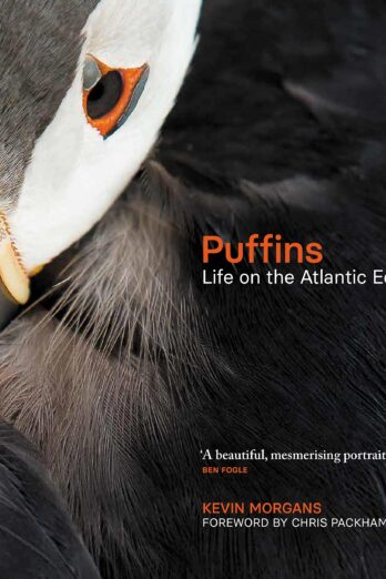 Puffins: Life on the Atlantic Edge Cover Image