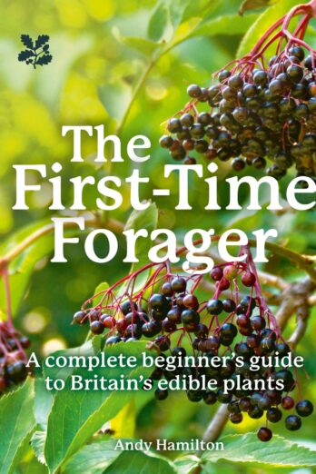 The First-Time Forager
