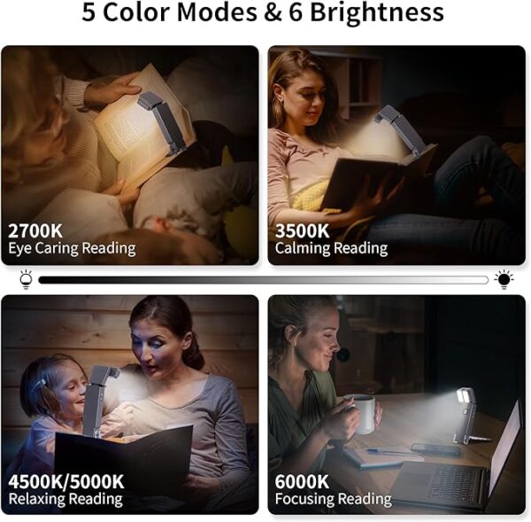 dual-head reading light brightness