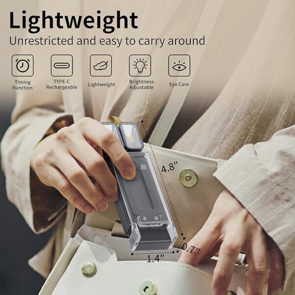 dual-head reading light structure