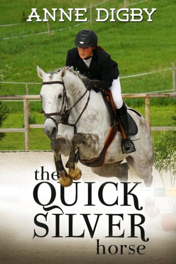 THE QUICKSILVER HORSE