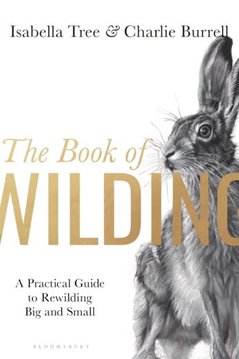 The Book of Wilding: A Practical Guide to Rewilding, Big and Small