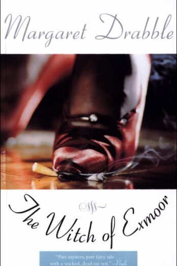 The Witch of Exmoor (Harvest Book)