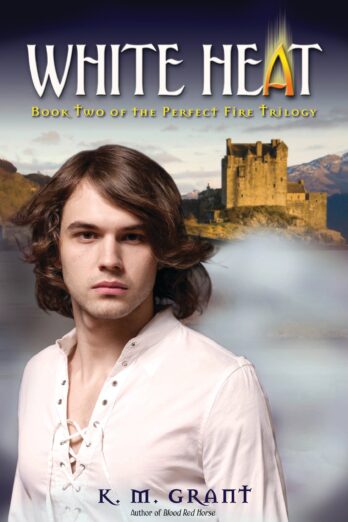 White Heat (The Perfect Fire Trilogy Book 2)