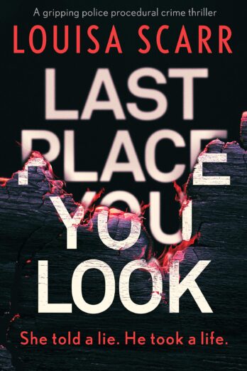 Last Place You Look (Butler & West Book 1)
