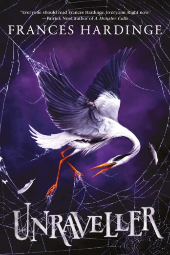 Unraveller: A Novel
