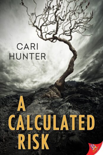 A Calculated Risk (A D. I. Jo Shaw Mystery Book 1)