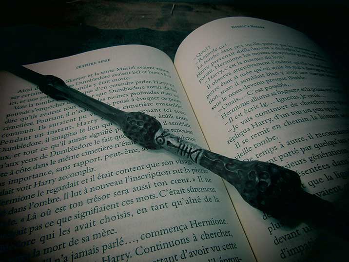 A wand placed on an open book with French text.