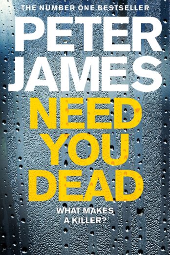 Need You Dead (Detective Superintendent Roy Grace, 13)