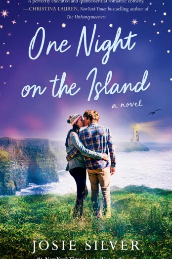 One Night on the Island: A Novel