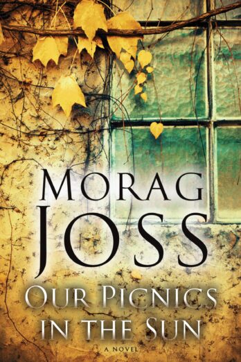 Our Picnics in the Sun: A Novel