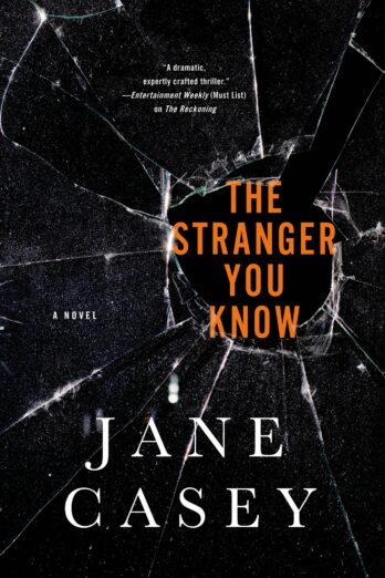 The Stranger You Know (Maeve Kerrigan Novels Book 4)