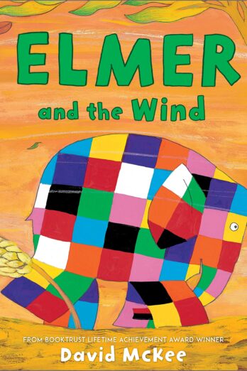 Elmer and the Wind (Elmer Picture Books Book 6)