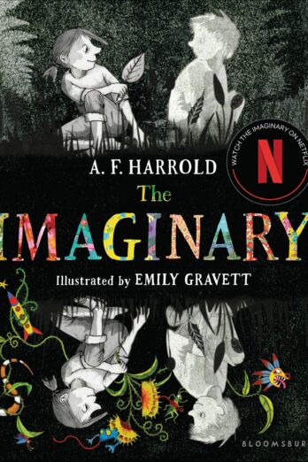 The Imaginary