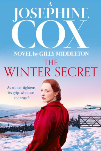 The Winter Secret