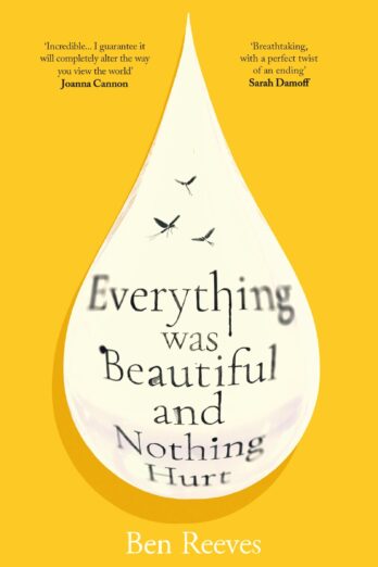 Everything was Beautiful and Nothing Hurt